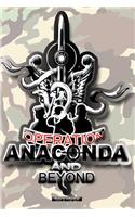 Operation Anaconda and Beyond