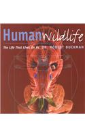 Human Wildlife