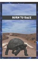 Born to race