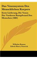 Venensystem Des Menschlichen Korpers