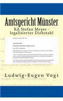 Amtsgericht Munster: Ra Stefan Meyer - Legalisierter Diebstahl