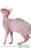 Sphynx Cat Affirmations Workbook Sphynx Cat Presents: Positive and Loving Affirmations Workbook. Includes: Mentoring Questions, Guidance, Supporting You.
