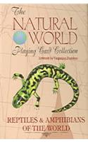 Reptiles & Amphibians of the World Card Game
