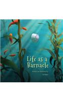 Life as a Barnacle