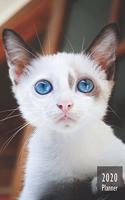 2020 PLANNER Kitten: Gifts For Cat Lovers Monthly Weekly Daily and Hourly Planners 2020 Calendar from Jan 1 2020 to Dec 2020 Note Pages To-Do List Priorities and Time Ma