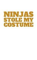 Ninjas Stole my Costume: Journal / Notebook / Diary Gift - 6"x9" - 120 pages - White Lined Paper - Matte Coverr