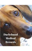 Dachshund Medical Records: Track Medications, Vaccinations, Vet Visits and More