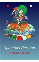 Spacious Passion [paperback]