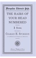 Hairs of Your Head Numbered