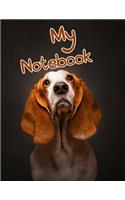 My Notebook: 185 Lined Pages, Large Size Book 8 1/2 X 11: 185 Lined Pages, Large Size Book 8 1/2 X 11