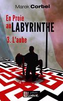En proie au labyrinthe