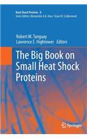 Big Book on Small Heat Shock Proteins