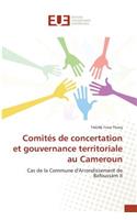Comités de concertation et gouvernance territoriale au Cameroun