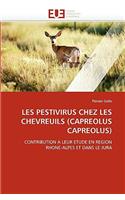 Les Pestivirus Chez Les Chevreuils (Capreolus Capreolus): (Omn.Univ.Europ.)