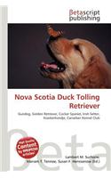Nova Scotia Duck Tolling Retriever