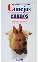 Conejos enanos