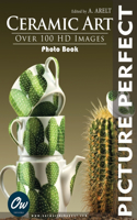 Ceramic Art: Picture Perfect Photo Book(Picture Perfect Photo Book)