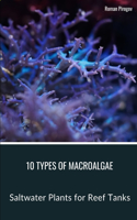 10 Types of Macroalgae