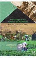 Unfolding Crisis in Assam's Tea Plantations