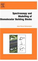 Spectroscopy and Modeling of Biomolecular Building Blocks