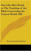 Our Life After Death or The Teaching of the Bible Concerning the Unseen World 1902