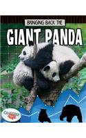 Bringing Back the Giant Panda