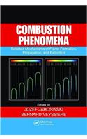 Combustion Phenomena: Selected Mechanisms of Flame Formation, Propagation, and Extinction