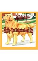 Fluffy - The Neighborhood Dog