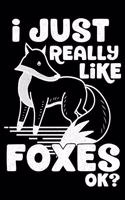 I Just Really Like Foxes OK?