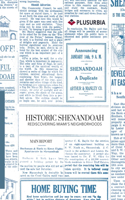 Historic Shenandoah: Rediscovering Miami's Neighborhoods(Volume 1: Main Report)