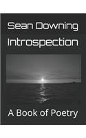 Introspection: A Book of Poetry