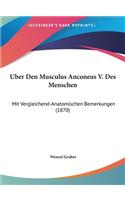 Uber Den Musculus Anconeus V. Des Menschen