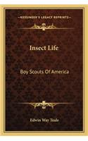 Insect Life