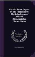 Certain Sense Organs of the Proboscis of the Polychaetous Annelid Rhynchobolus Dibranchiatus