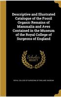Descriptive and Illustrated Catalogue of the Fossil Organic Remains of Mammalia and Aves Contained in the Museum of the Royal College of Surgeons of England