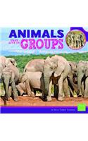 Animals That Live in Groups