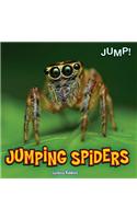Jumping Spiders