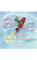 Poinsettia Adventure