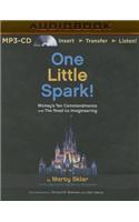 One Little Spark!