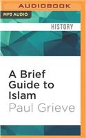 Brief Guide to Islam