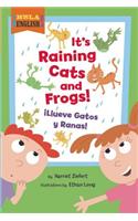 It's Raining Cats and Frogs/Illueve Gatos y Ranas