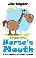 From the Horse's Mouth: First-Person Biblical Fiction