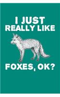 I Just Really Like Foxes Ok
