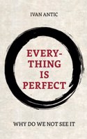 Everything is perfect: Why Do We Not See It