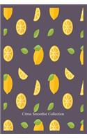 Citrus Smoothie Collection: Lemon Fruit Pattern Lined Notebook for Smoothie Recipes