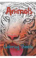 Animals Coloring Sheets