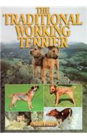Traditional Working Terrier
