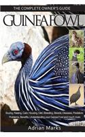 Guinea Fowl