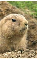 Prairie Dog Lined Journal