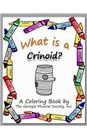 What Is a Crinoid?